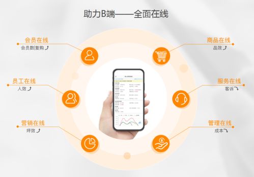生鮮電商虧損潮中，點(diǎn)DMall為何能逆勢融資28億？